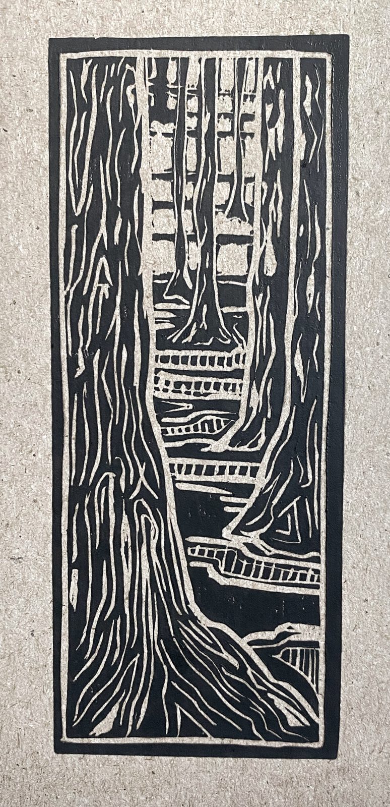 Bark Study No. 1 (Redwood)